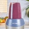 Petra PT2002V4SILVERVDEEU7 Nutrimax 1000W strieborný mixér thumbnail