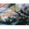 Tracer 47569 Opti 3D-WF autokamera thumbnail