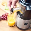 Gastroback 40145 Slow Juicer Advanced Vital lassú gyümölcsprés thumbnail
