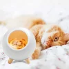 Tellur Cat Night Light nočná lampa thumbnail