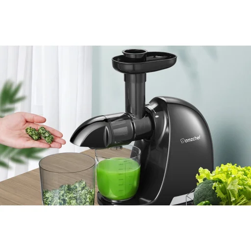 AMZCHEF Slow Juicer ZM1501-BK-SM (fekete) - 3