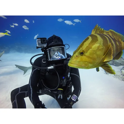 GoPro Hero 5/6/7 Tech-protect Vízálló Tok Átlátszó - 7