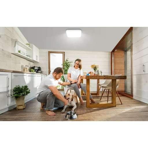Lepro 150006 LED stropné svietidlo 24W 2400lm - 4