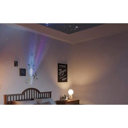 Philips N-250 Full HD projektor, biely - 9