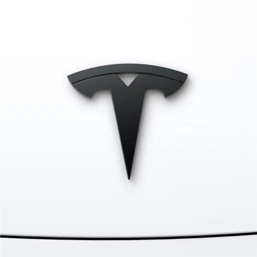 Spigen Tesla predný kryt znaku čierny – Tesla Model 3 2024 - 7