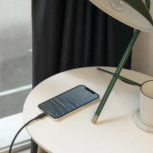 Native Union Belt Cable XL USB-C–Lightning kábel 3 m, kozmos - 3