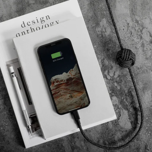 Native Union Night Cable USB-C – Lightning kábel, kozmos - 3
