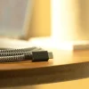 Native Union Belt Cable XL (USB-C - USB-C) 3m, zebra thumbnail