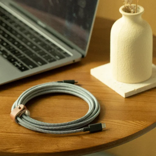 Native Union Belt Cable XL (USB-C - USB-C) 3m, zebra - 7