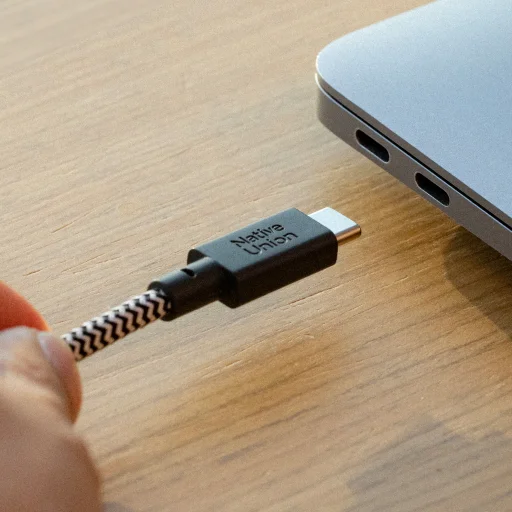 Native Union Belt Cable XL (USB-C - USB-C) 3m, zebra - 4