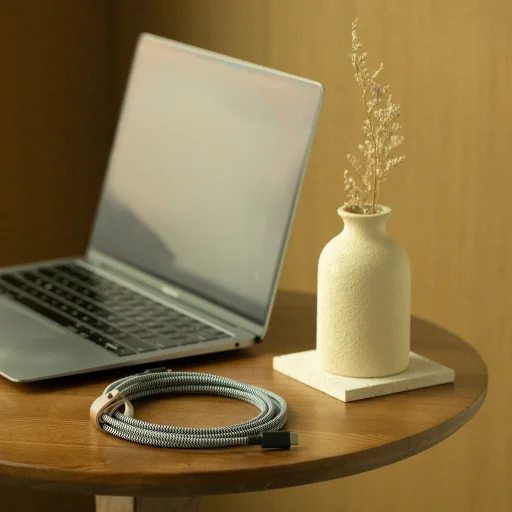 Native Union Belt Cable XL (USB-C - USB-C) 3m, zebra - 5