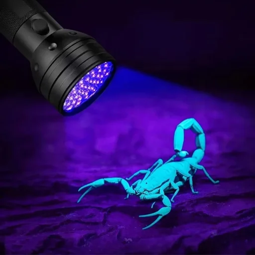 Wozinsky WLT-51L IP65 UV baterka na detekciu stôp, čierna - 7