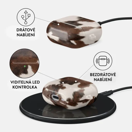 Burga Celestial puzdro na AirPods 4/5 - 3