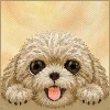 iPhone 18 Pro Max / 17 Pro Max hnedé puzdro Nimmy Big Eyed Lying Teddy Poodle thumbnail