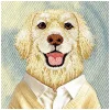 iPhone 17 Pro / 18 Pro hnedý Nimmy Gentle Pets Series Dog MagSafe kryt thumbnail