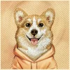 iPhone 17 Pro / 18 Pro oranžové puzdro MagSafe Nimmy Gentle Pets Series Dog thumbnail