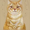  Apple iPhone 17 Pro / 18 Pro barna Nimmy Lucky Fashion Cat MagSafe védőtok thumbnail