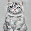  iPhone 17 Pro / 18 Pro szürke Nimmy Lucky Fashion Cat MagSafe tok thumbnail