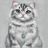  iPhone 17 Pro Max / 18 Pro Max szürke Nimmy Lucky Fashion Cat MagSafe tok thumbnail