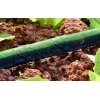 RainPoint HL1202 kvapkacia hadica, 15 m thumbnail