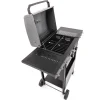 FIELDMANN FZG 3000 2 égőfejes gázgrill öntöttvas ráccsal thumbnail