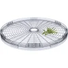 SENCOR SFD 2105WH sušička ovocia, 250 W, 5 sušiacich sít, biela thumbnail