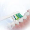 SENCOR SOX 101 prémium pót fogkefefej SOC 4210BL/4211GD készülékekhez, 4 db thumbnail