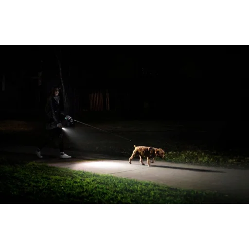 LEPRO O1200012-2 LED vreckové svietidlo, 150 lm, 2 ks - 4