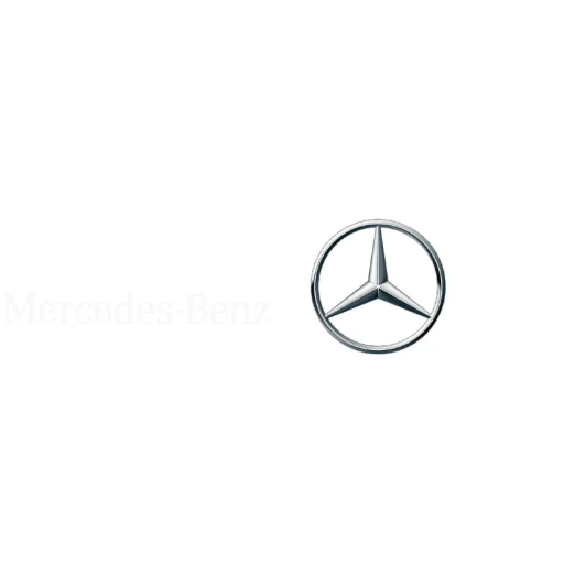 Kožené puzdro MagSafe Mercedes-Benz pre iPhone s čiastočným krytím a vzorom s imitáciou dreva, ťavia hnedá - 11
