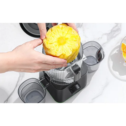 AMZCHEF CE-ZM1919 lassú gyümölcsprés, fekete - 5