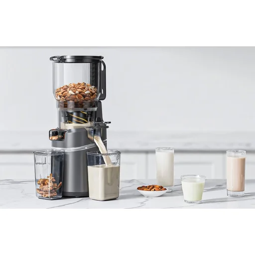 AMZCHEF CE-SJ-036C-GA lassú gyümölcsprés, 250 W - 4