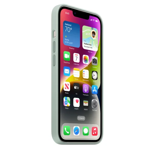 iPhone 14 szilikontok kövirózsa (MPT13ZM/A) Apple gyári MagSafe-rögzítésű (SEASONAL 2022 Fall) - 7