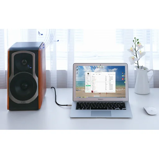 Ugreen AV127 3.5mm-es jack sztereó kábel 6.35mm TRS-hez - 3m (szürke) - 5