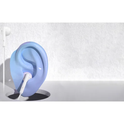 Dudao X3B vezetékes fülhallgató USB-C (fehér) - 5