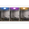 Xiaomi Yeelight C2201C235 okos RGB mennyezeti lámpa - 7