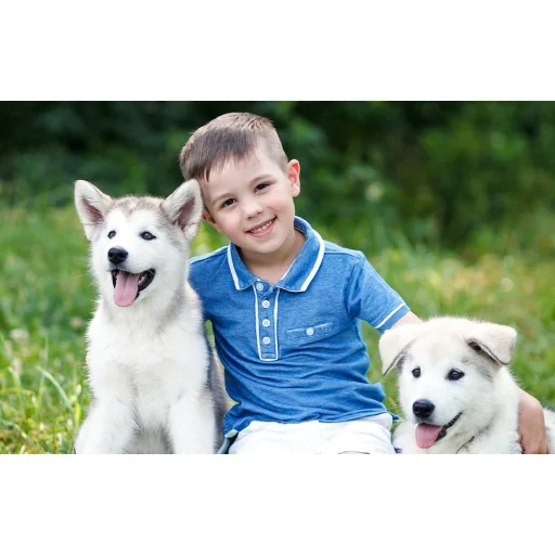 IP kültéri kamera Wi-Fi DEKCO DC5L - 4