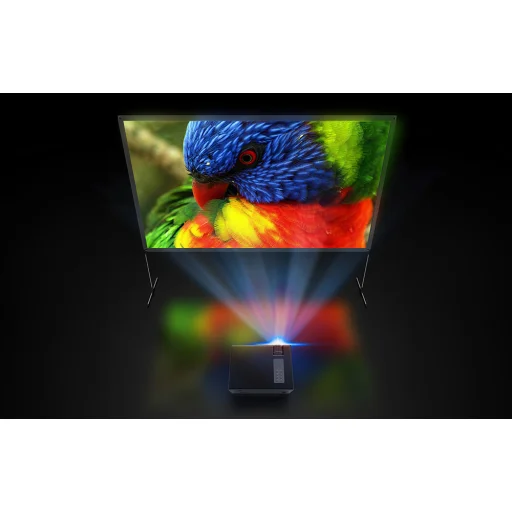 BlitzWolf BW-VS6 100" hordozható vetítővászon - 4