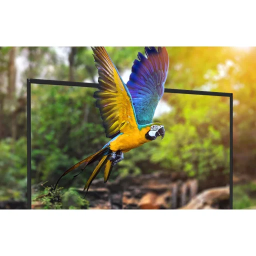 BlitzWolf BW-VS6 100" hordozható vetítővászon - 6