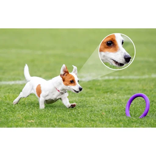 2 az 1-ben izzó és 360°-os kültéri kamera WiFi IMOU Bulb Cam 5MP - 4