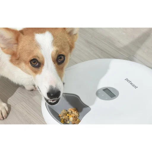 PetWant F6 Okos ételadagoló (6 rekeszes) - 7